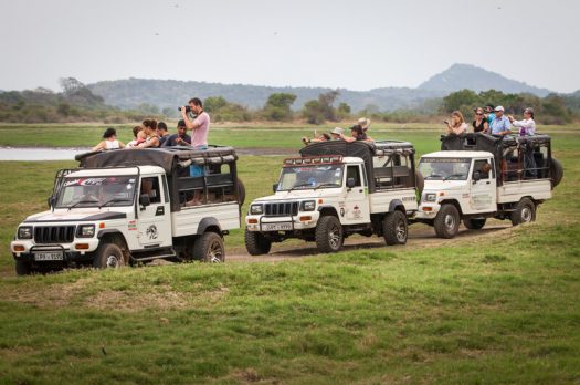 Hoe haal je het meeste uit je safari-vakantie?