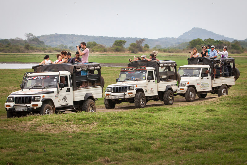 safari in zuid afrika