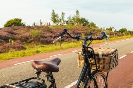 fietsend door nederland